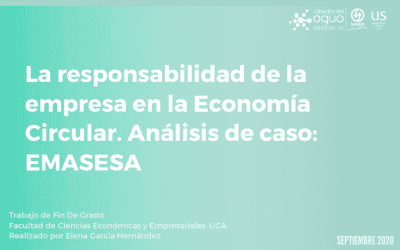 TFG ELENA GARCÍA: LA RESPONSABILIDAD DE LA EMPRESA EN LA ECONOMÍA CIRCULAR