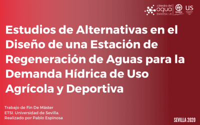 RESUMEN TRABAJO FIN DE MÁSTER. PABLO ESPINOSA MANJÓN