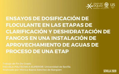 RESUMEN TFG MÓNICA BAENA SÁNCHEZ DE IBARGÜEN