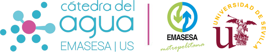 Master del Agua