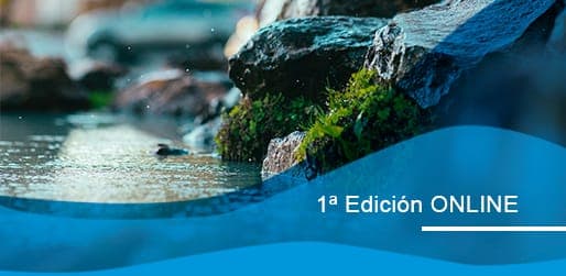 Máster en Tecnologías y Gestión del Ciclo Integral del Agua 1ª edición online